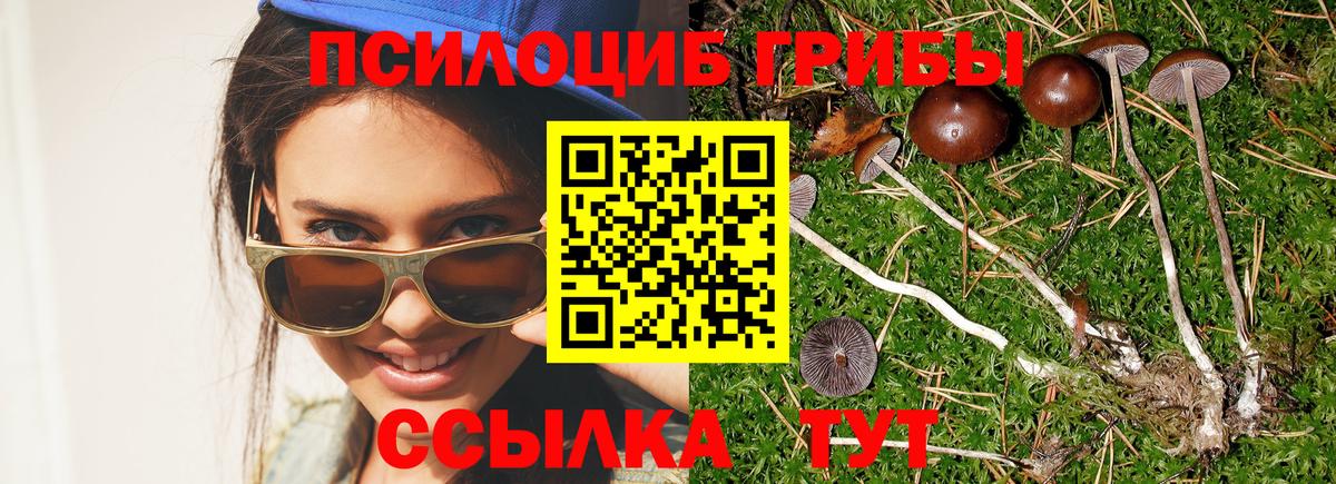 Псилоцибиновые грибы Magic Shrooms  Вход с VPN  где можно купить наркотик  Гулькевичи 