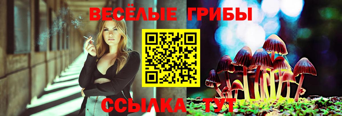 Псилоцибиновые грибы мухоморы Гулькевичи